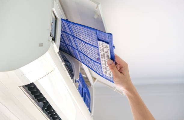 Best Ductwork Cleaning Services  in Collins, MS