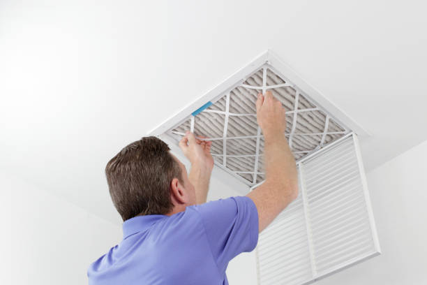 Best Air Duct Cleaning Company Near Me  in Collins, MS